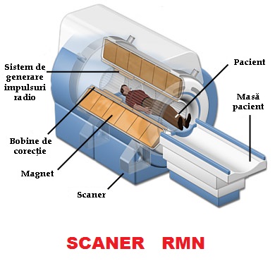 scaner-rmn